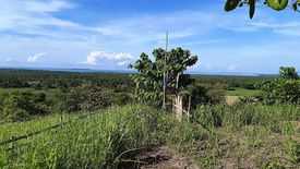 Land for sale in Sandoval, Palawan