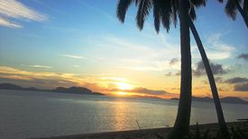 Land for sale in Teneguiban, Palawan