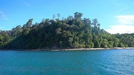 Land for sale in Poblacion, Palawan