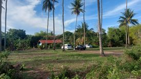 Land for sale in Apolong, Negros Oriental