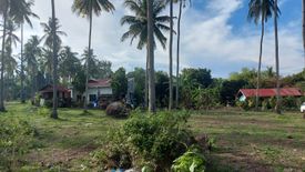 Land for sale in Apolong, Negros Oriental