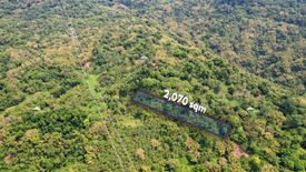 Land for sale in Pintong Bocawe, Rizal