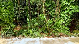 Land for sale in Santa Monica, Palawan