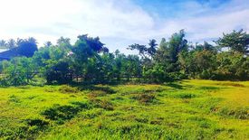 Land for sale in New Agutaya, Palawan