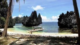 Land for sale in Bebeladan, Palawan