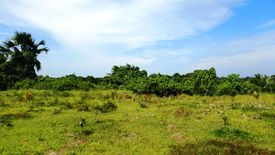 Land for sale in Barangay Ng Mga Mangingisda, Palawan