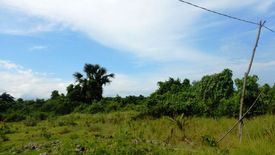 Land for sale in Barangay Ng Mga Mangingisda, Palawan