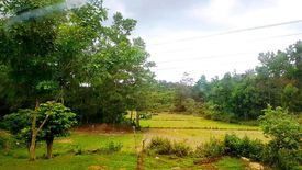 Land for sale in New Cuyo, Palawan