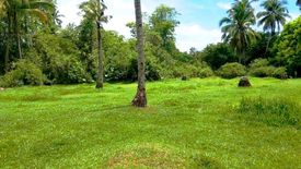 Land for sale in New Agutaya, Palawan