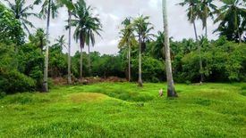 Land for sale in New Agutaya, Palawan