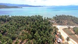 Land for sale in Poblacion, Palawan