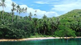 Land for sale in Bebeladan, Palawan