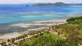 Land for sale in Teneguiban, Palawan