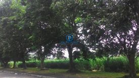 Land for rent in Don Jose, Laguna