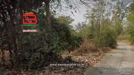 Land for sale in Ban Mae, Chiang Mai