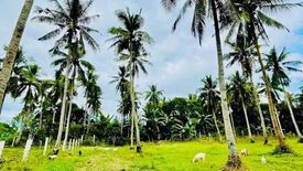 Land for sale in Talaibon, Batangas