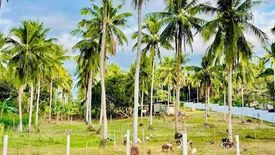 Land for sale in Talaibon, Batangas