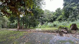 Land for sale in Mayamot, Rizal