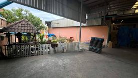 Warehouse / Factory for rent in Krathum Lom, Nakhon Pathom