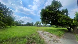 Land for sale in Tambo, Metro Manila