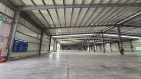 2 Bedroom Warehouse / Factory for rent in Nong Yai, Chonburi