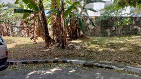 Land for sale in Dolores, Rizal