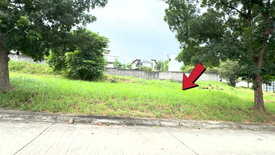 Land for sale in Dolores, Rizal