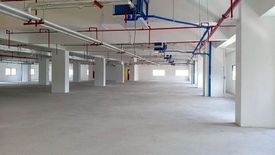 Commercial for rent in Cebu IT Park, Cebu