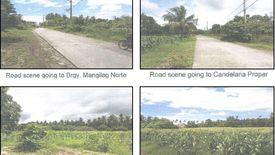 Land for sale in Mangilag Sur, Quezon