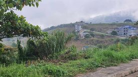 Land for sale in Poblacion, Benguet