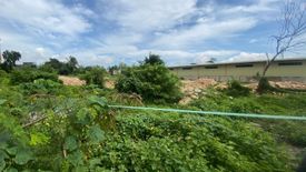 Land for rent in Pajo, Cebu