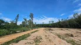 Land for sale in Khao Mai Kaeo, Chonburi