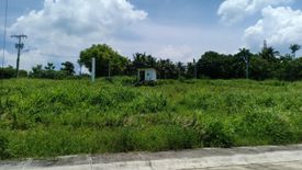 Land for sale in Laiya-Aplaya, Batangas