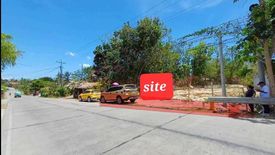 Land for sale in Tunga, Cebu