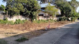 Land for sale in Yang Noeng, Chiang Mai