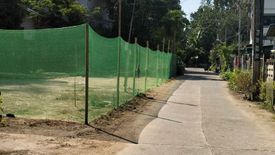 Land for sale in Yang Noeng, Chiang Mai