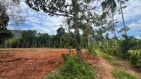 Land for sale in Khao Thong, Krabi