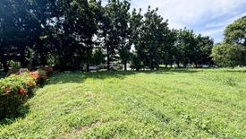 Land for sale in Tambo, Metro Manila