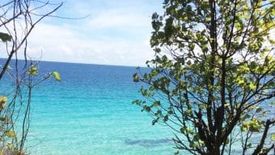 Land for sale in Candaping B, Siquijor