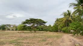 Land for sale in Bajumpandan, Negros Oriental