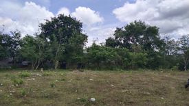 Land for sale in Adlas, Cavite