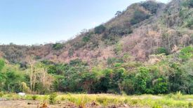 Land for sale in Puting-Kahoy, Batangas