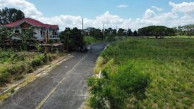 Land for sale in Eagle Ridge Executive, Panungyanan, Cavite