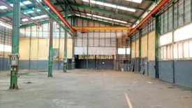 2 Bedroom Warehouse / Factory for sale in Bueng Cham O, Pathum Thani