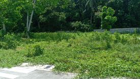 Land for sale in Laiya-Aplaya, Batangas