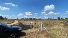 Land for sale in Lawy, Tarlac