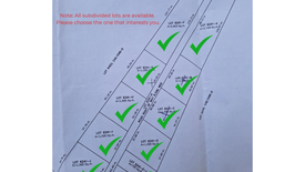 Land for sale in Montealegre, Cebu