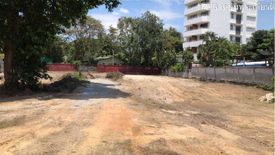 Land for Sale or Rent in Nong Prue, Chonburi