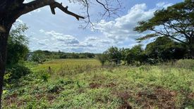 Land for sale in Pinagsanhan I A, Cavite