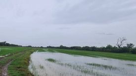 Land for sale in Bang Khla, Chachoengsao